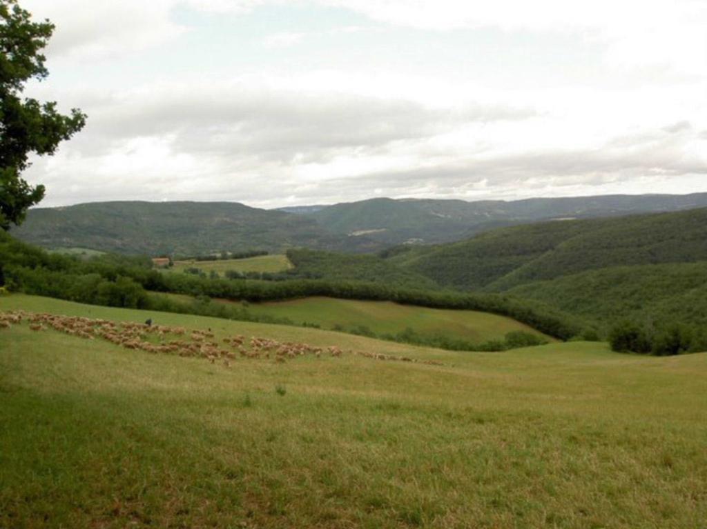 Gite L'Oustal Occitan A Saint-Juery别墅 外观 照片